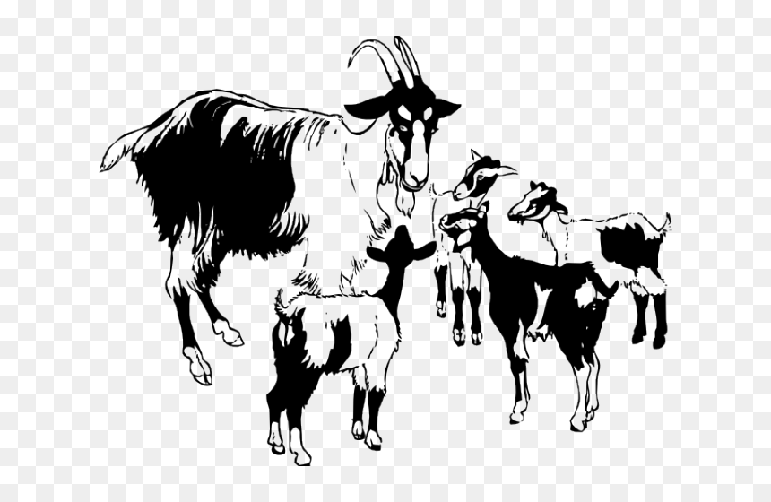 Goat Clipart Family - Herd Of Goats Clipart, HD Png Download - goat clipart png