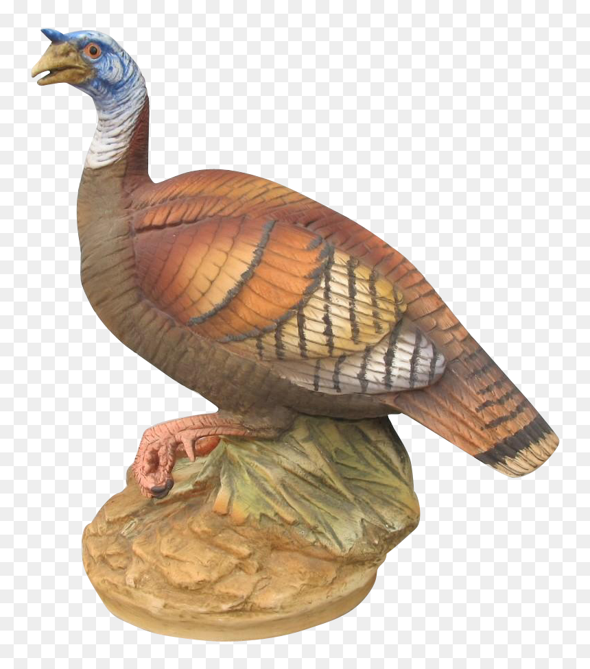 Turkey, HD Png Download - wild turkey png