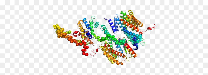 14 3 3 Protein Beta/alpha Rho Gtpase Activating Protein - Illustration, HD Png Download - chi rho png