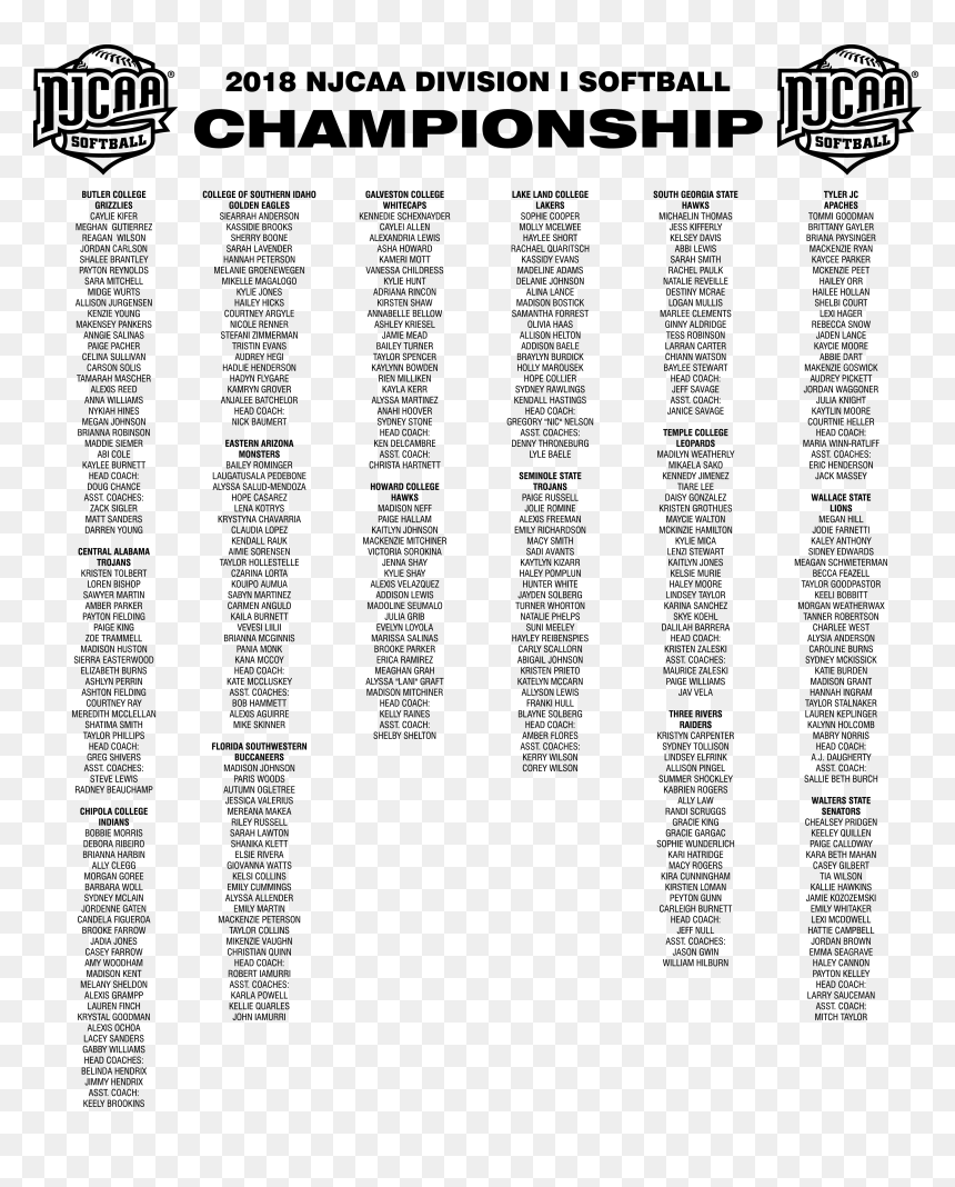 2018 Njcaa Softball Di Championship Navy Tonal Long - Calligraphy, HD Png Download - paige wwe png