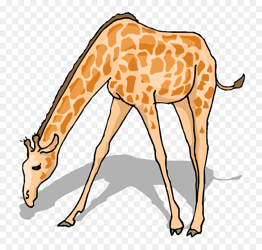 Free Giraffe Clipart - Animal Clipart, HD Png Download - giraffe cartoon png