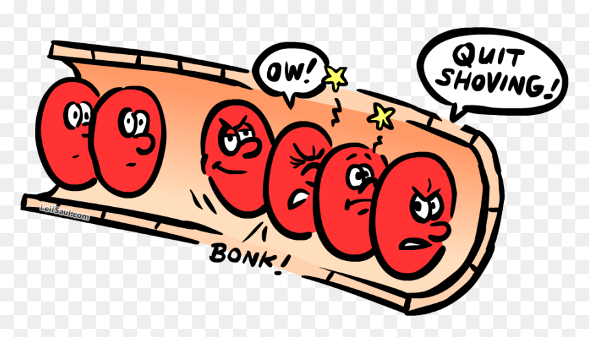 Red Blood Cells In Capillary - Cartoon Blood Cells, HD Png Download - cartoon blood png