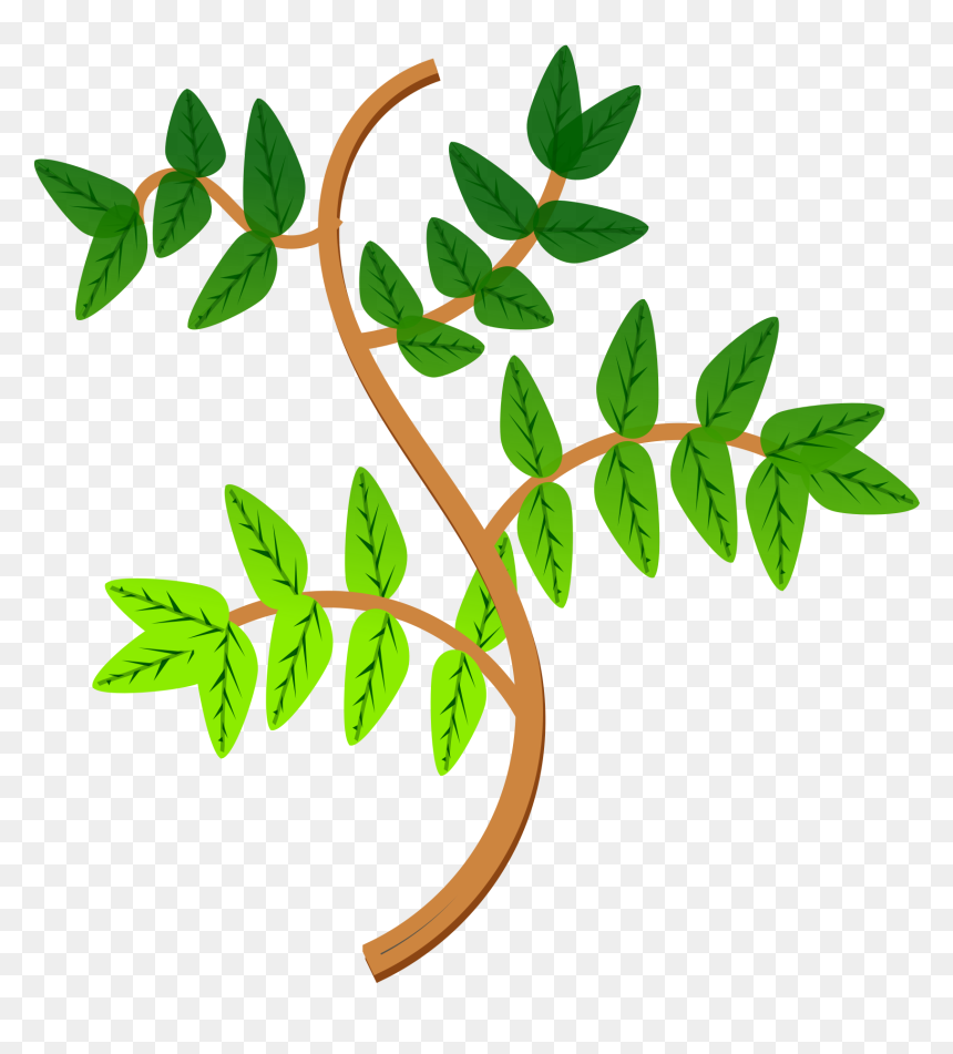 Leaves And Branches 2 Clip Arts - Ramas De La Planta, HD Png Download - olive branches png