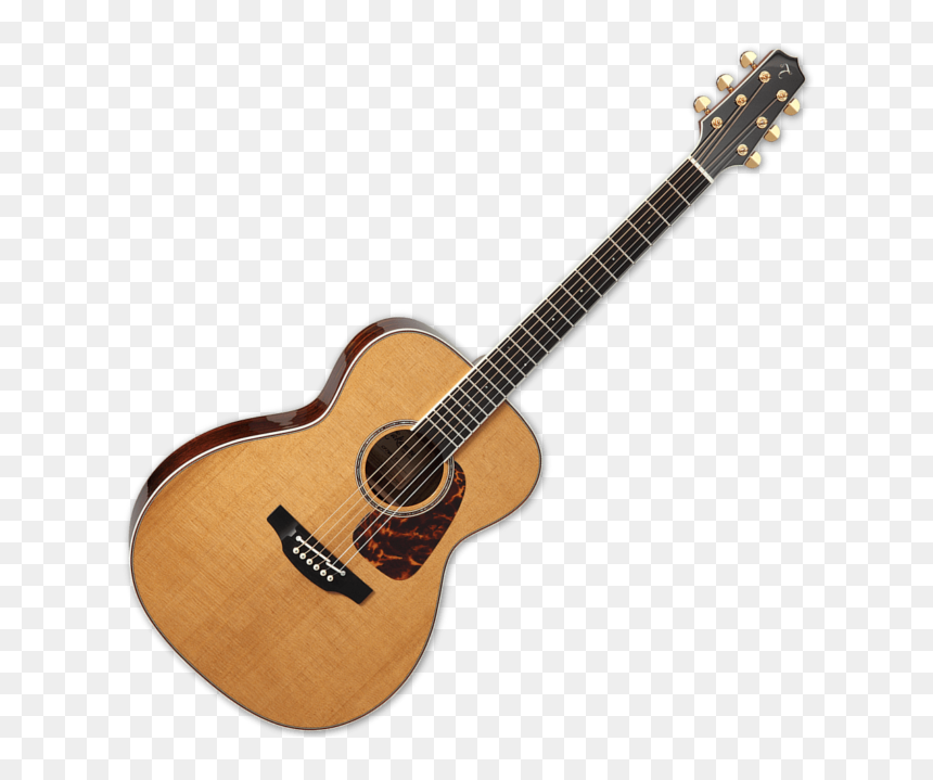 Takamine Cp7mo Tt, HD Png Download - bajo sexto png
