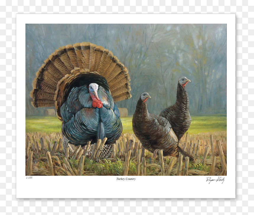 Turkey Country, HD Png Download - wild turkey png