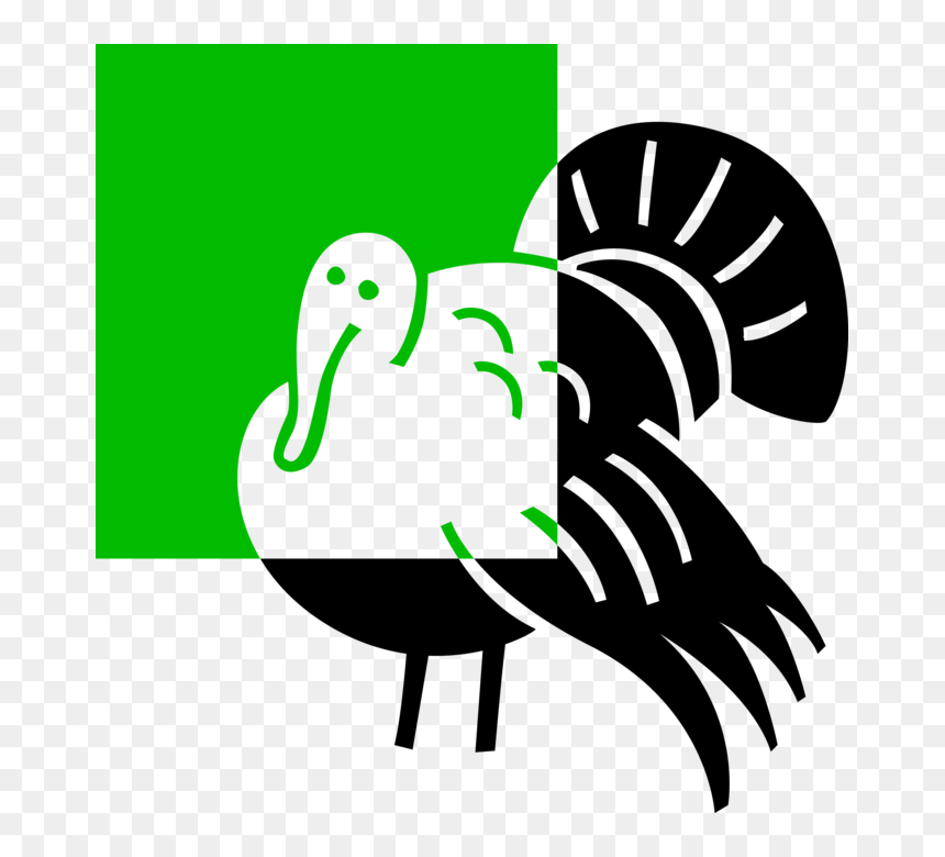 Transparent Turkey Vector Png - Illustration, Png Download - wild turkey png