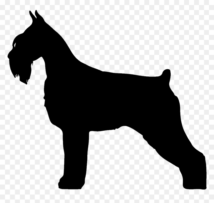 Giant Schnauzer Silhouette, HD Png Download - schnauzer png