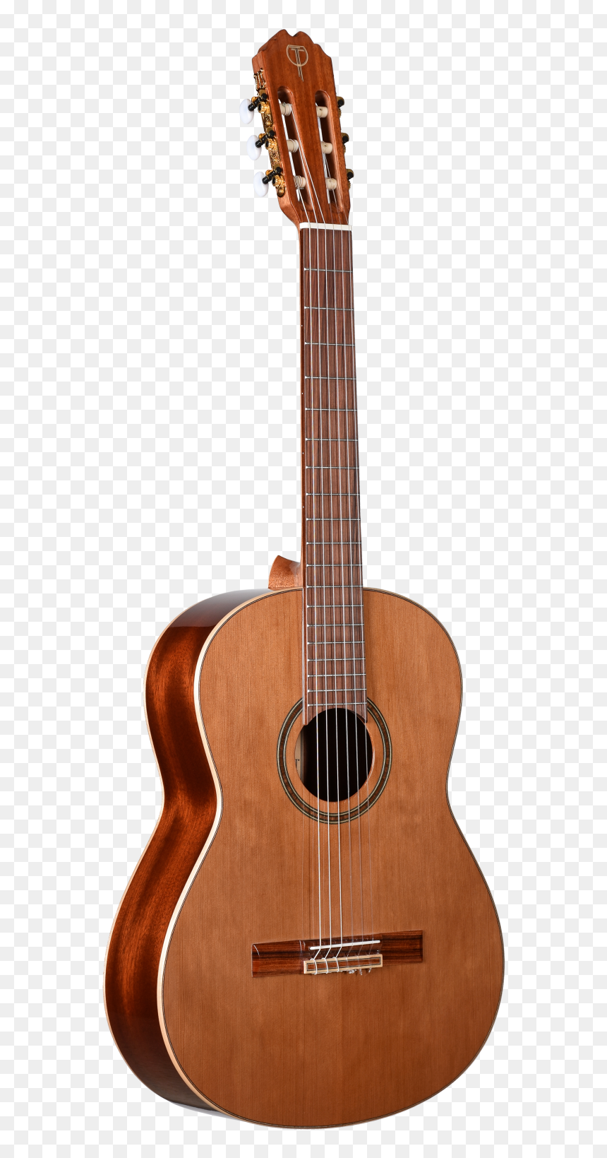 Teton Str100nt, HD Png Download - bajo sexto png