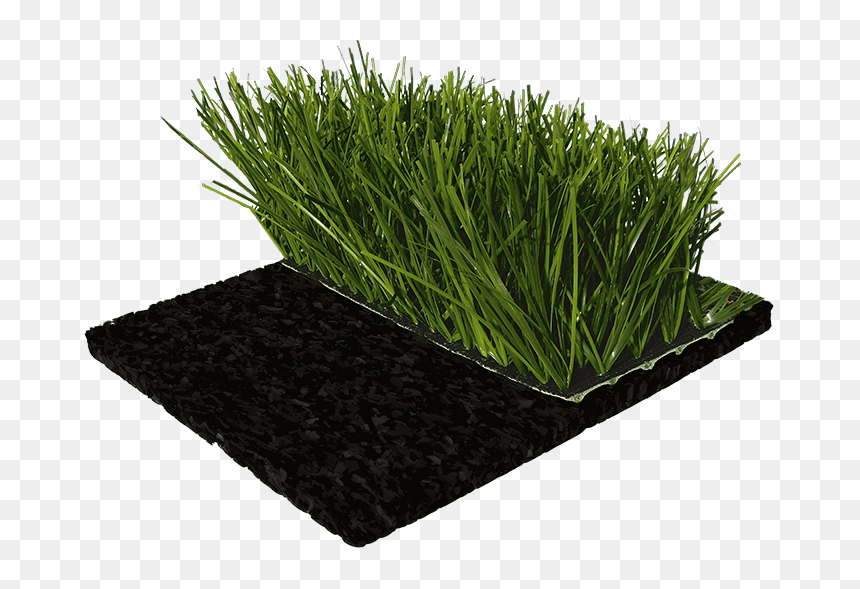 Sportec Team Cup - Artificial Turf, HD Png Download - turf png