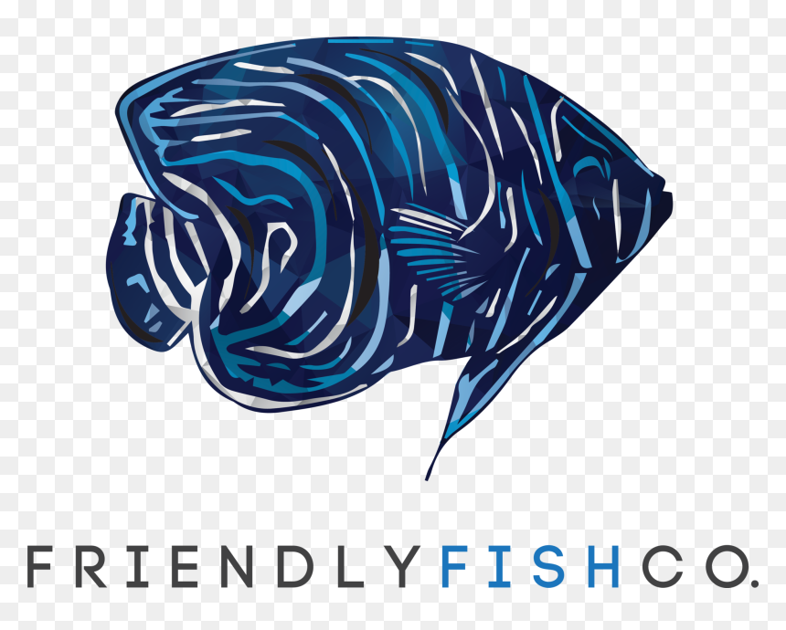 Clip Art, HD Png Download - fish net png