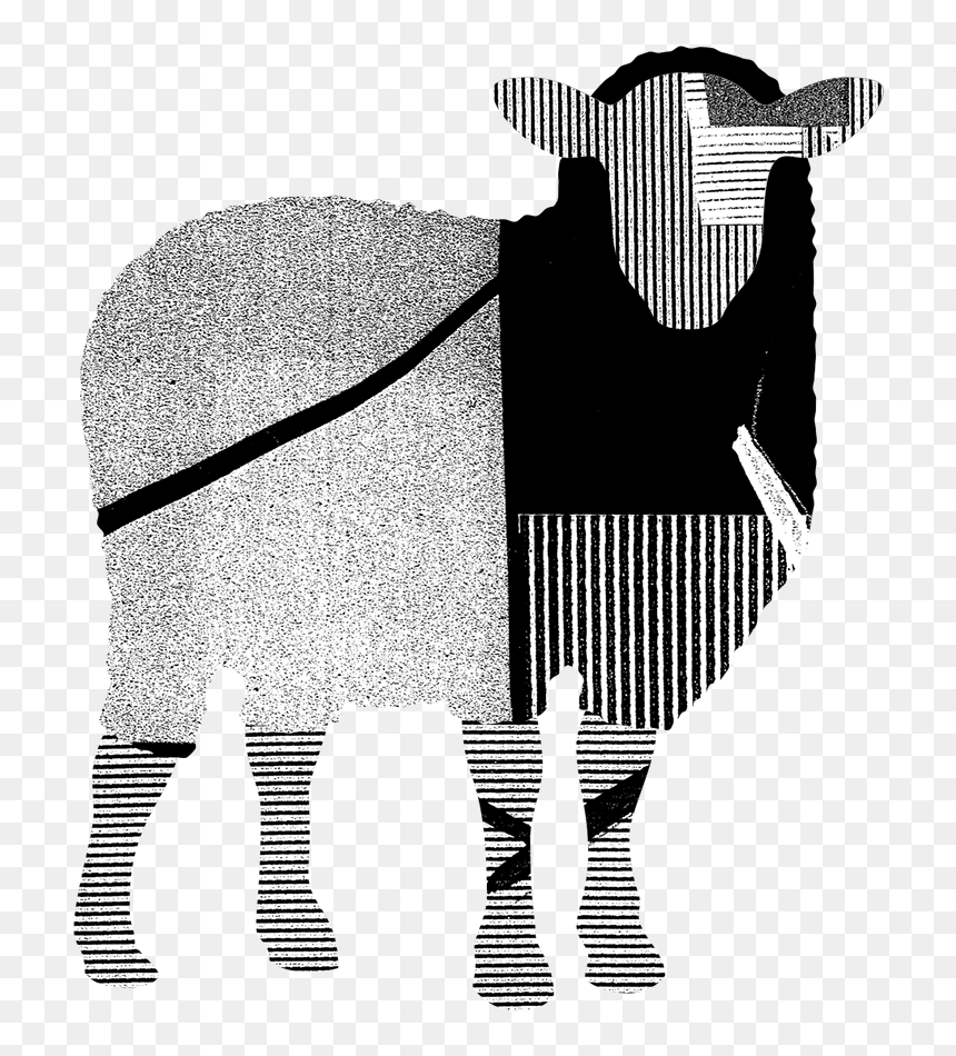 Pictures Of A Sheep - Black Sheep Agency Logo, HD Png Download - lamb clipart png