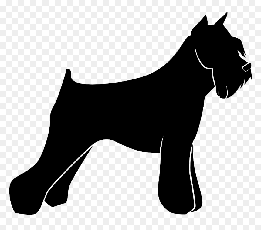 Paws Clipart Sheltie - Silueta De Un Perro Schnauzer, HD Png Download - schnauzer png