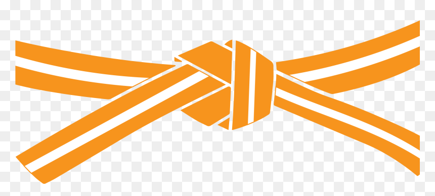 Belt Orange White - Black Belt Taekwondo Png, Transparent Png - wwe belt png