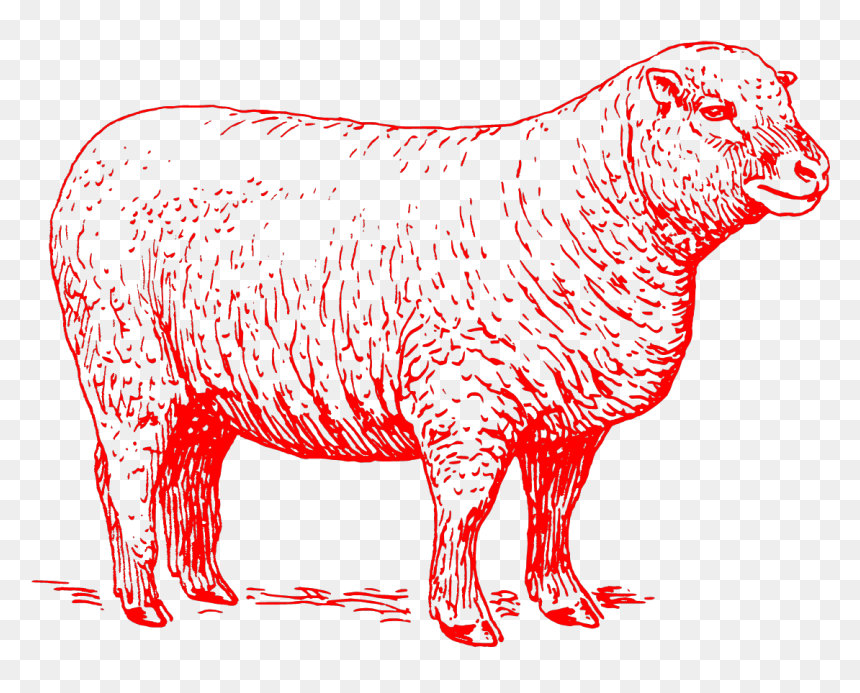Sheep Images Black And White Clipart, HD Png Download - lamb clipart png