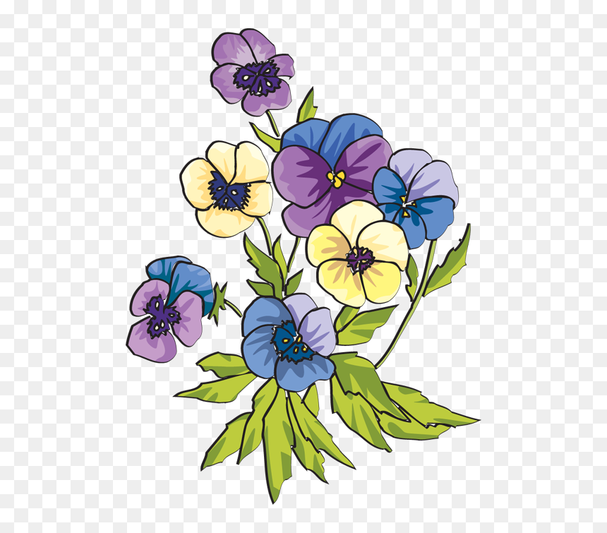 Pansies - Pansies Clipart, HD Png Download - pansy png