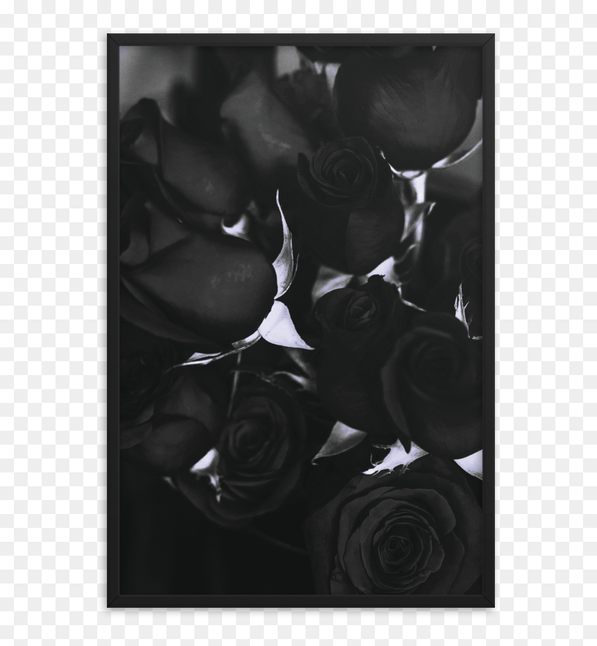 صور اسم عبد الخالق, HD Png Download - black rose petals png