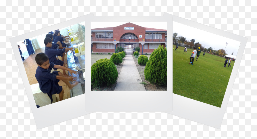 Islamic Educational Centre Ladysmith, HD Png Download - turf png