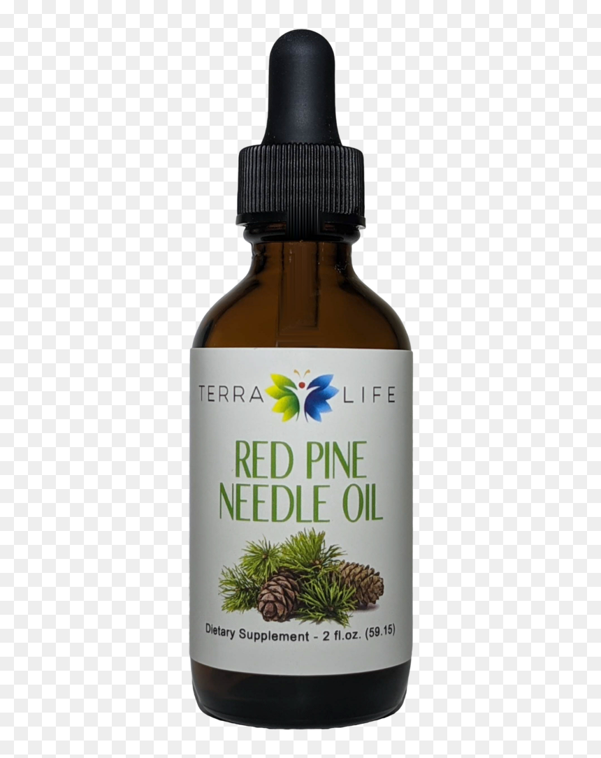 Glycerite, HD Png Download - pine needles png