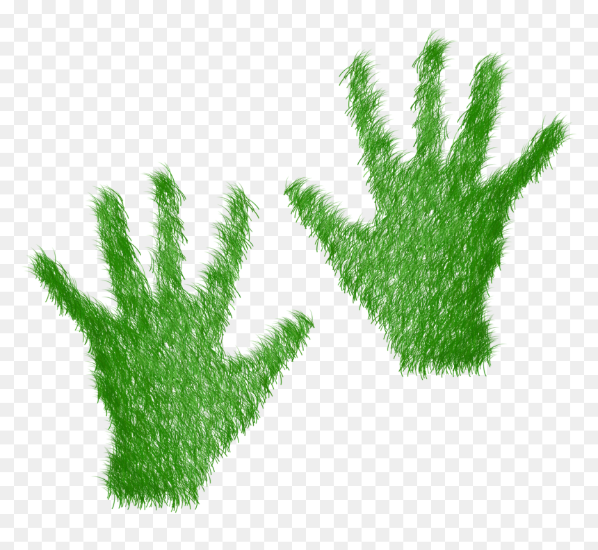 Huella De Mano Verde, HD Png Download - turf png