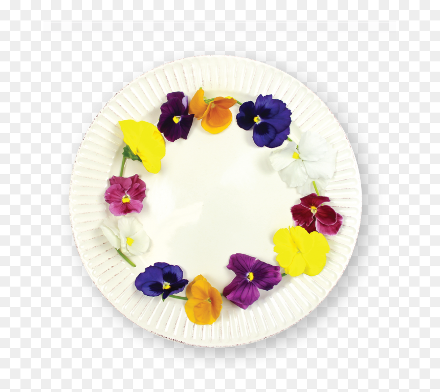 Viola, HD Png Download - pansy png
