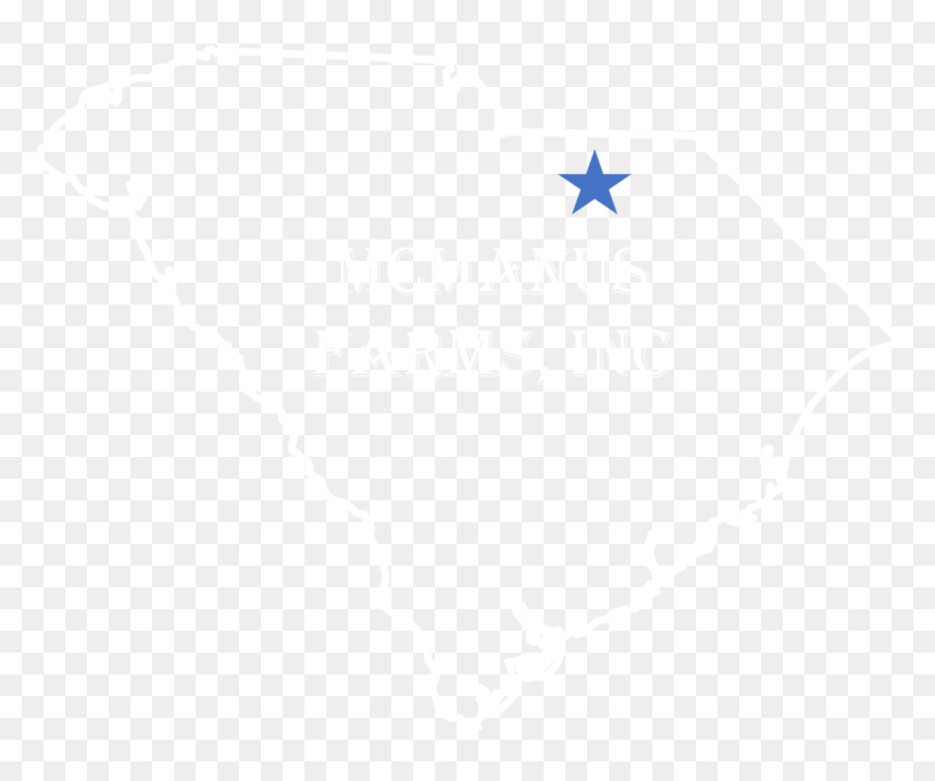 Pine Needles Png, Transparent Png - pine needles png
