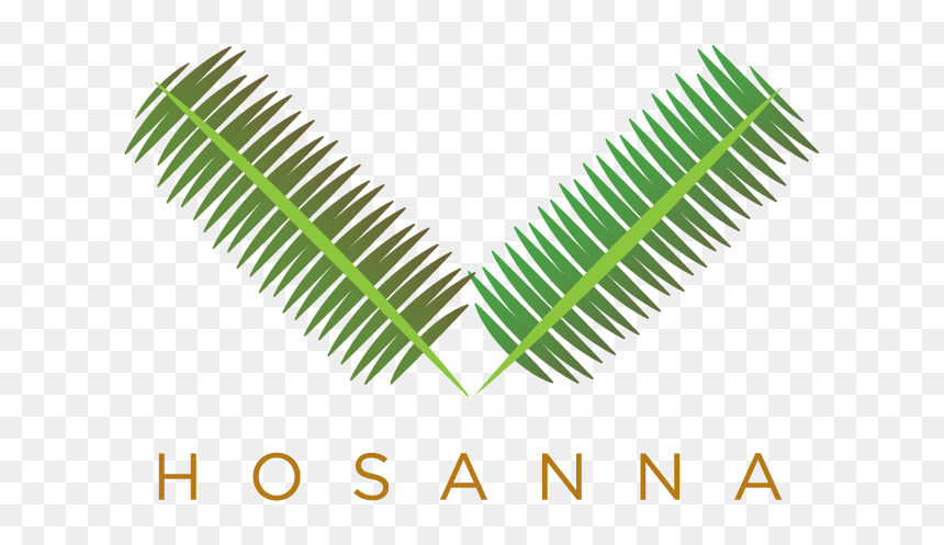 Parallel, HD Png Download - palm sunday png