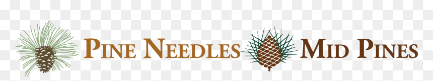 Graphic Design, HD Png Download - pine needles png