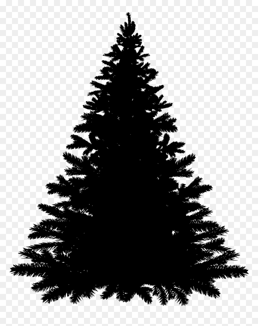 Merry Christmas Tree Png, Transparent Png - pine needles png