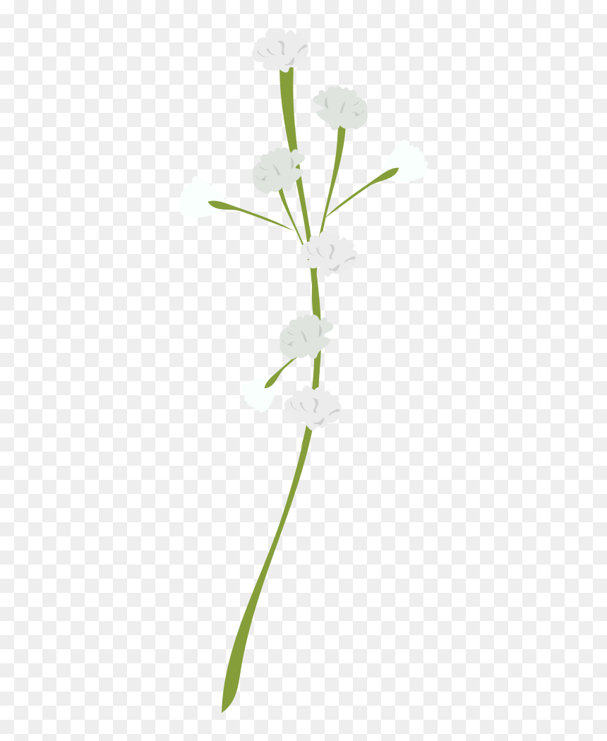 Bouquet, HD Png Download - babys breath png