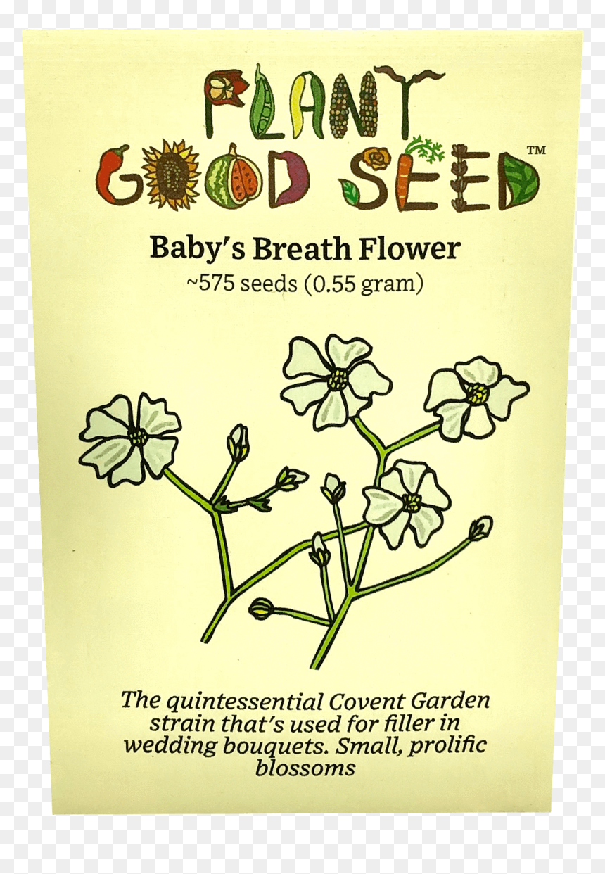 Baby"s Breath Flower"
 Data Image Id="6521849020552"
 - Seed, HD Png Download - babys breath png