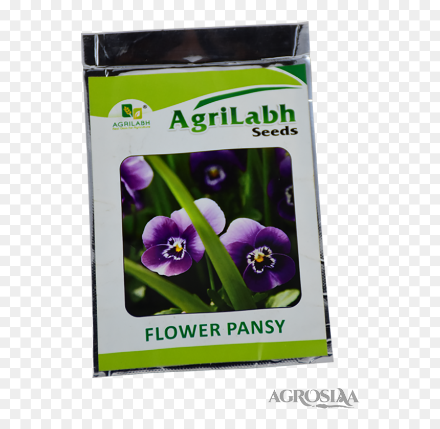 Long Black Brinjal, HD Png Download - pansy png