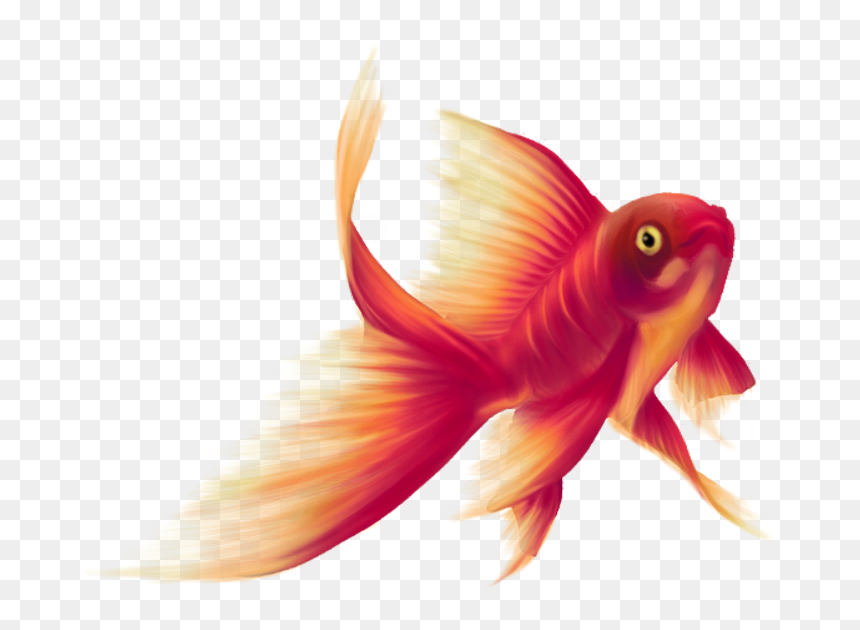 Goldfish, HD Png Download - fish net png