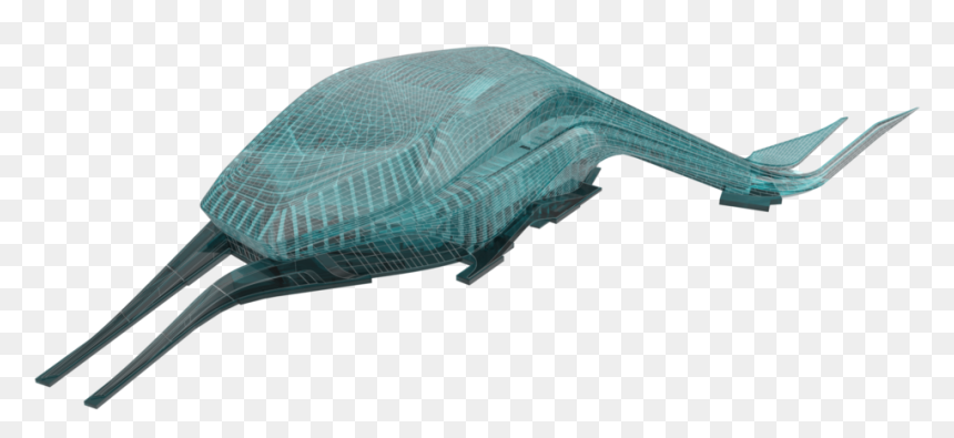 Rabat Xray - Billfish, HD Png Download - fish net png