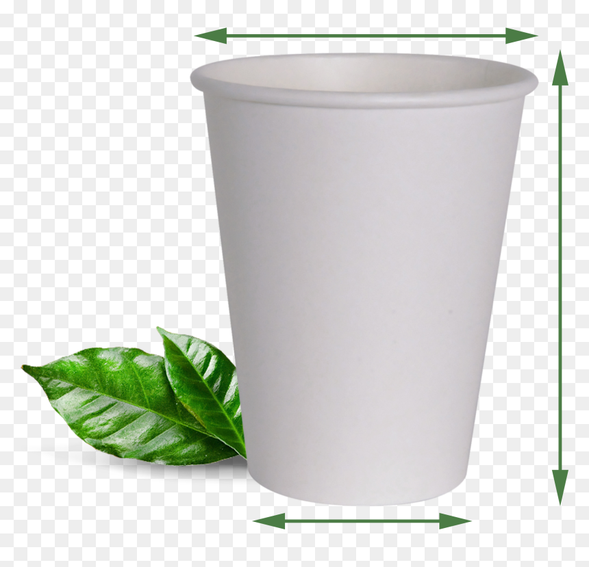 Houseplant, HD Png Download - paper cup png