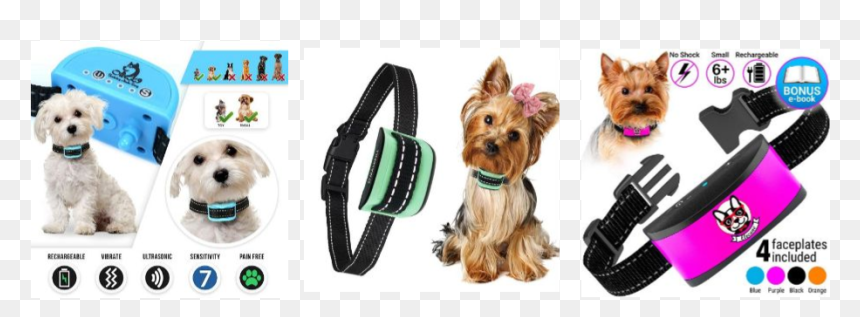 Tiny Dog Bark Collar Reviews - Yorkshire Terrier, HD Png Download - dog barking png