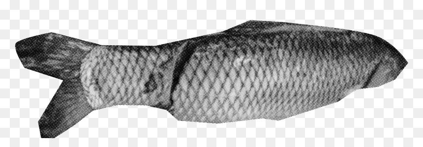 Fish Net Png, Transparent Png - fish net png