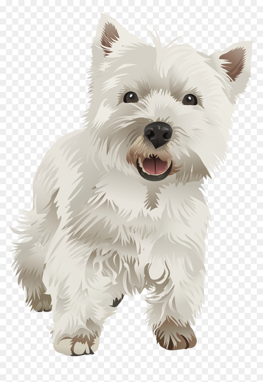 Transparent Dugtrio Png - West Highland Terrier Vector, Png Download - dugtrio png