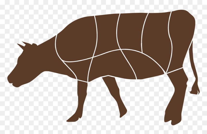 Indian Rhinoceros , Png Download - Indian Rhinoceros, Transparent Png - rhinoceros png