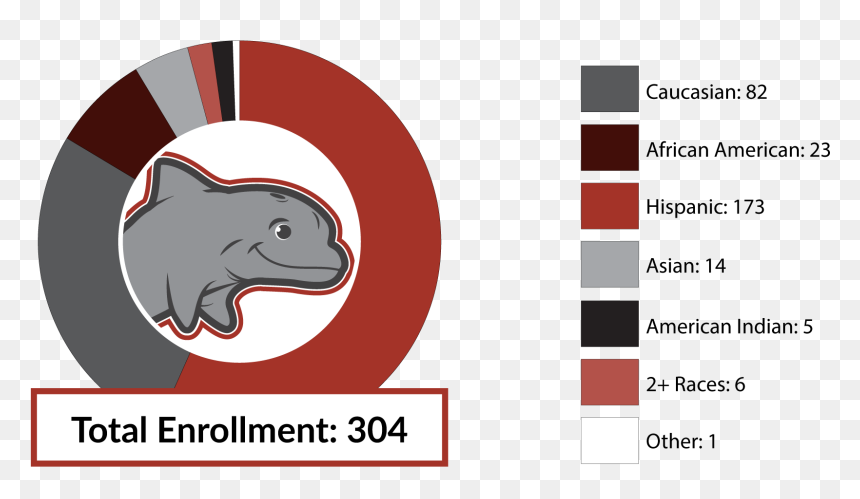 Total Enrollment 304 Caucasian 82 African American - Dundee Middle School, HD Png Download - hispanic family png
