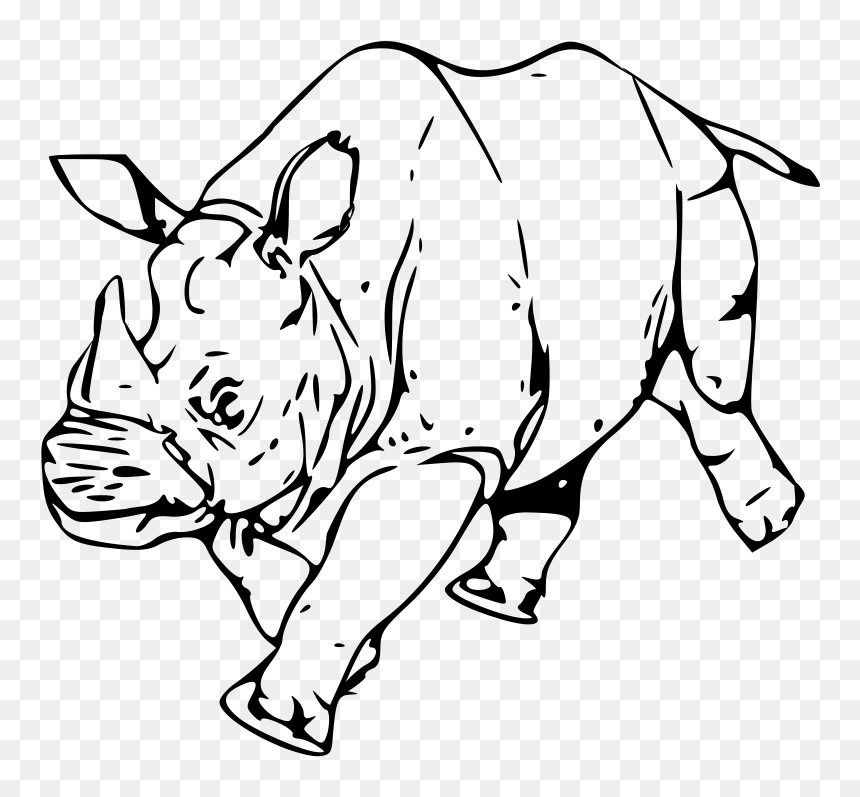 Rhinoceros Line Art Drawing Clip Art - Clip Art, HD Png Download - rhinoceros png