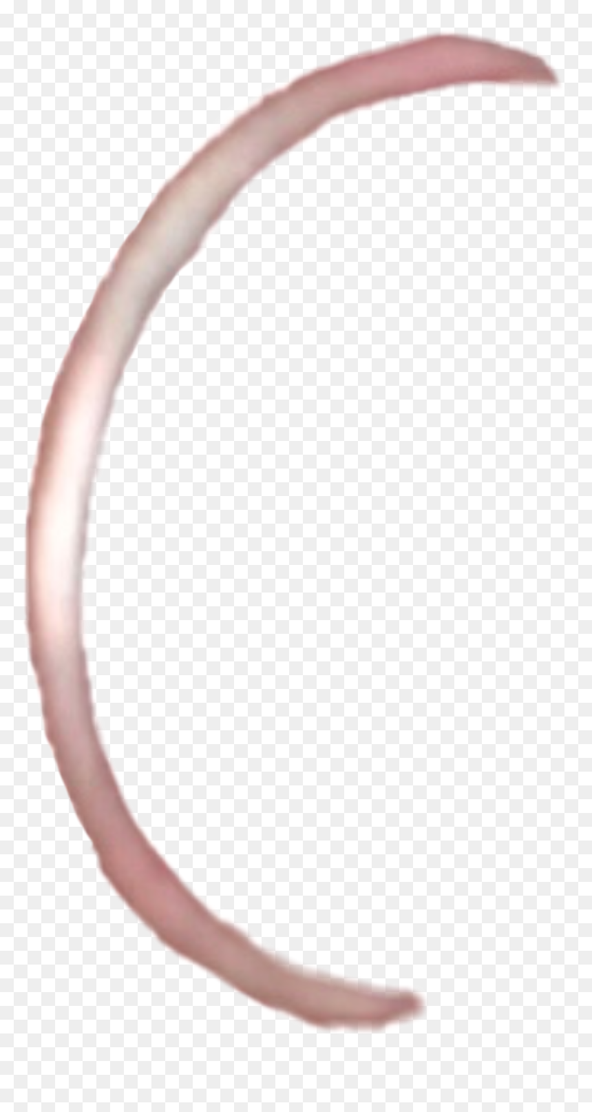 #piercing #nosering #jewlery #aesthetic #edit #lipring - Headpiece, HD Png Download - lip ring png