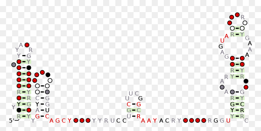 Yg Png, Transparent Png - yg png