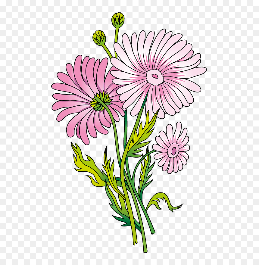 Daisy Clipart - Marguerite Daisy, HD Png Download - daisy clipart png