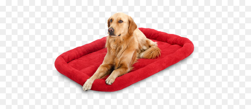 Clipart Bed Dog Bed - Dog On Bed Transparent, HD Png Download - dog bed png