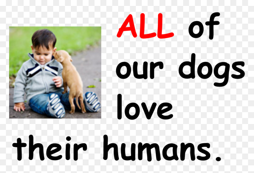 Love Humans , Png Download - Toddler, Transparent Png - humans png