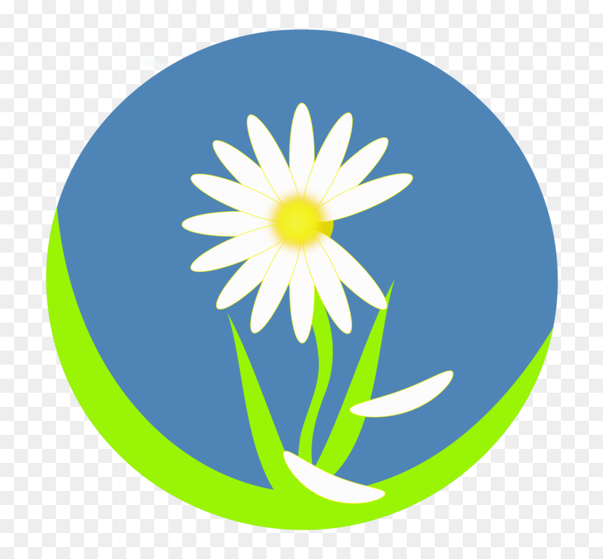 Plant,flora,sunflower - World Teachers Day Background, HD Png Download - daisy clipart png