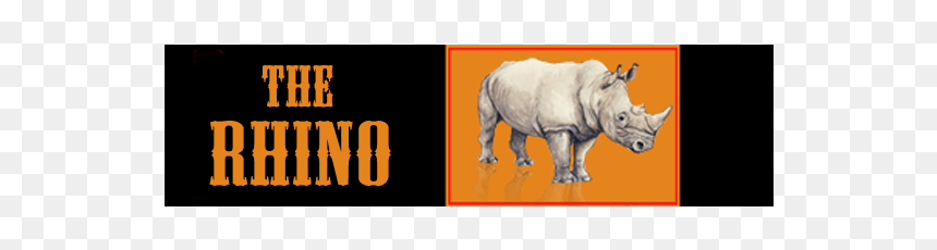 Forweb - Black Rhinoceros, HD Png Download - rhinoceros png