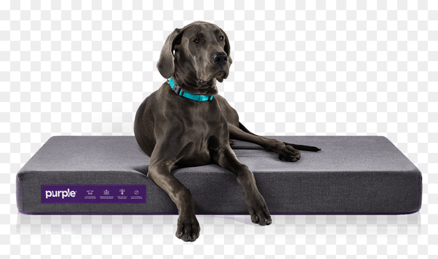 Large Dog Petbed, HD Png Download - dog bed png