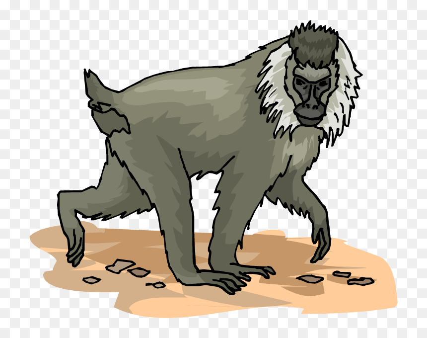 Monkey Clipart Clipart - Baboons Clipart, HD Png Download - monkey clipart png