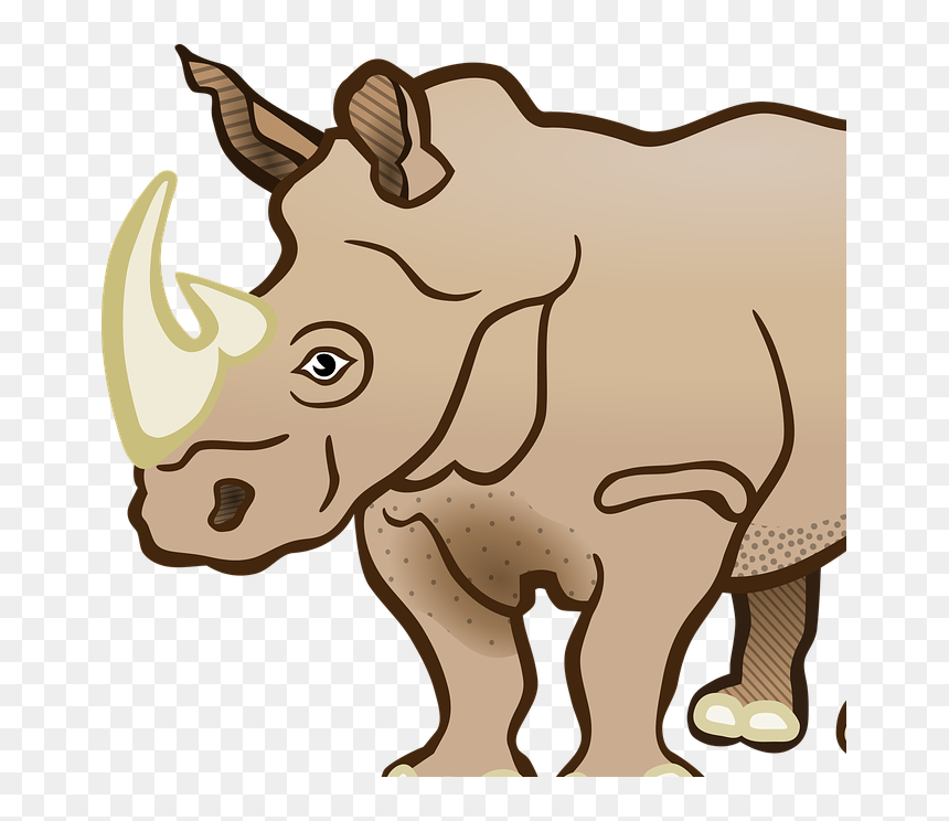 Clip Art, HD Png Download - rhinoceros png
